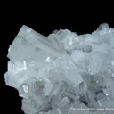 Calcite (Fluorescent) - image 3