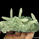 Calcite (fluorescent) and Celadonite on Quartz (var. Chalcedony) - image 4