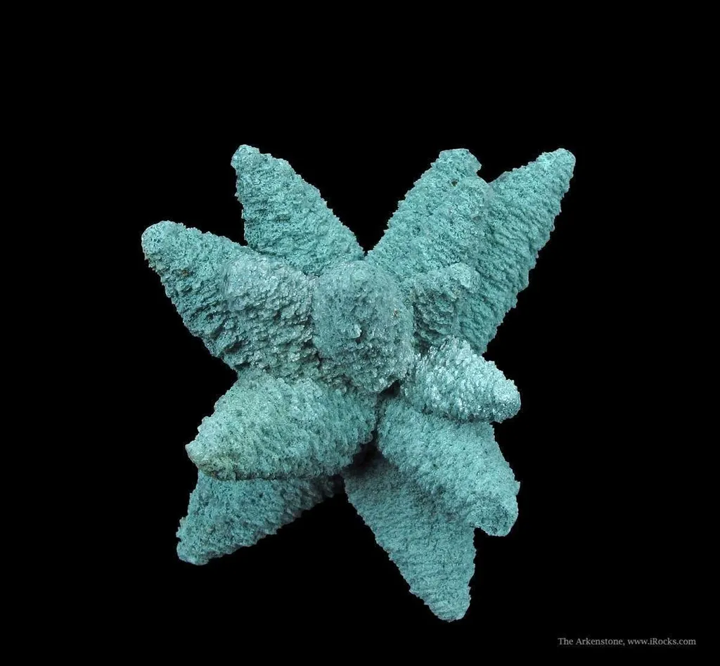 Calcite (Fluorescent) Included By Chlorite - image 4