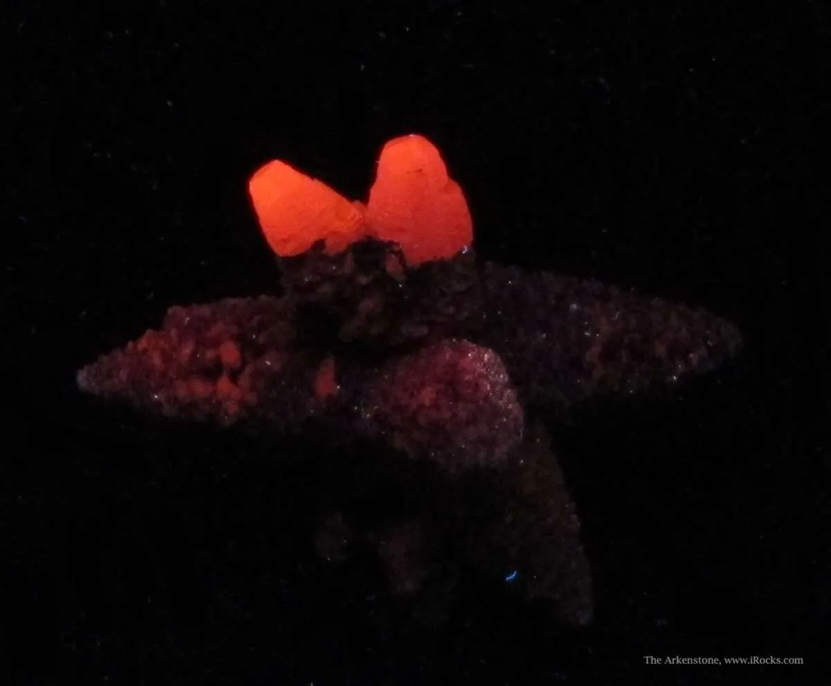 Calcite (Fluorescent) Included By Chlorite - image 2