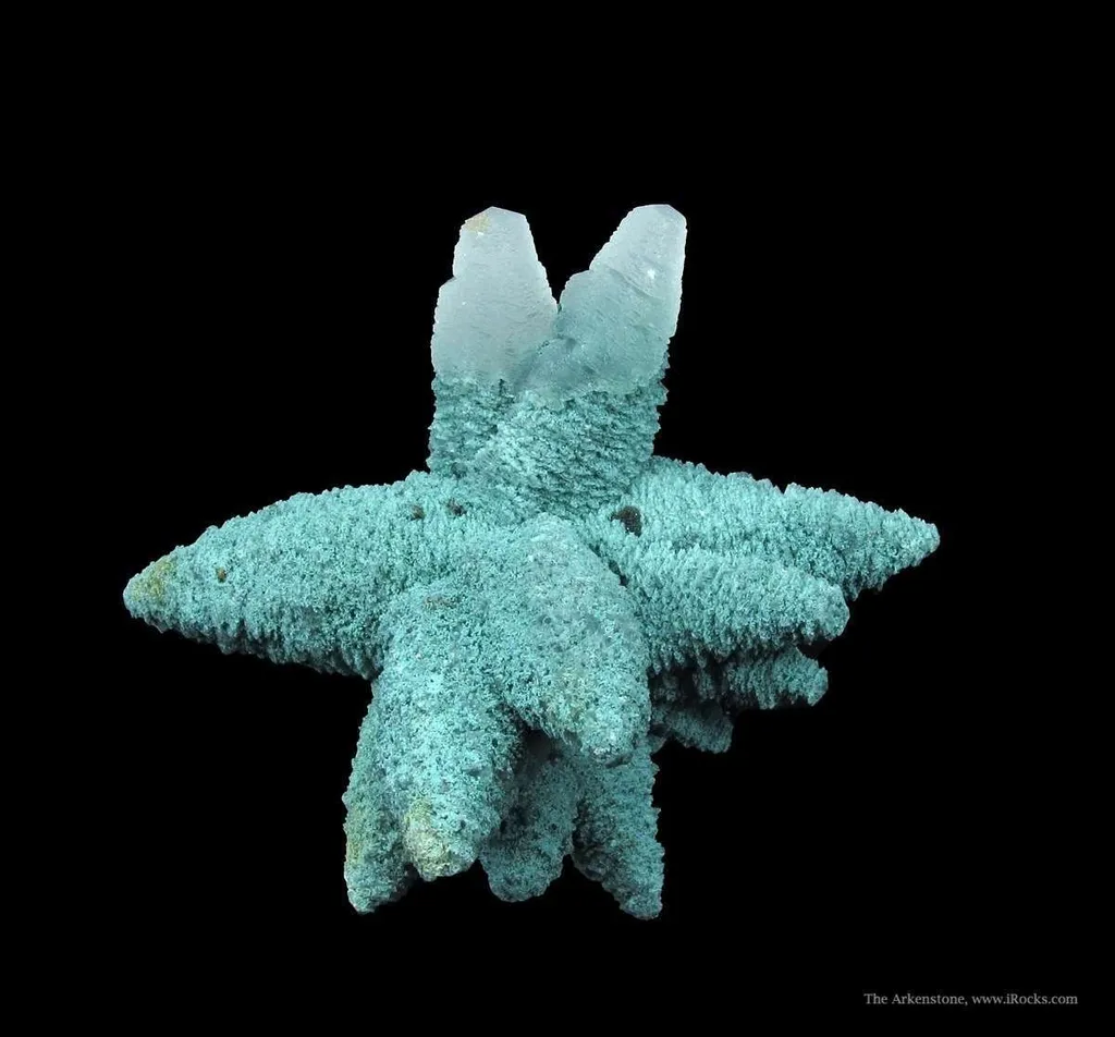 Calcite (Fluorescent) Included By Chlorite - image 2