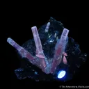Calcite (fluorescent) on basalt - image 4