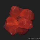 Calcite (fluorescent) on Quartz - image 8