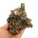 Calcite (fluorescent) with Hematite - image 6