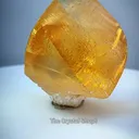 specimen video