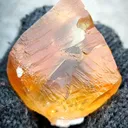 specimen video