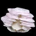Calcite from China, Hunan, Chenzhou, Yizhang Co., Dongpo ore field, Shizhuyuan Mine - image 1