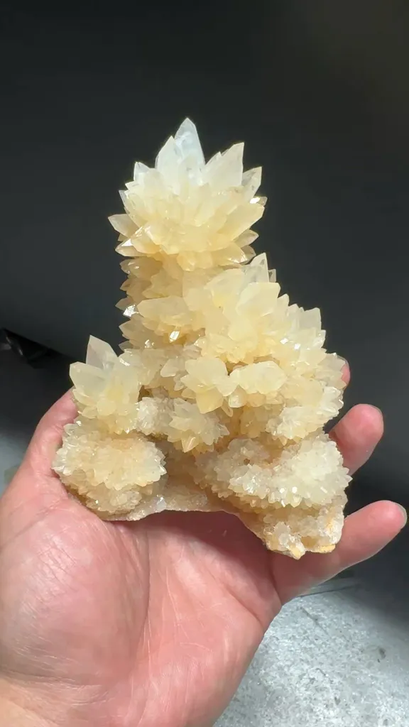 specimen video