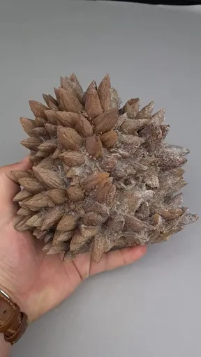 specimen video