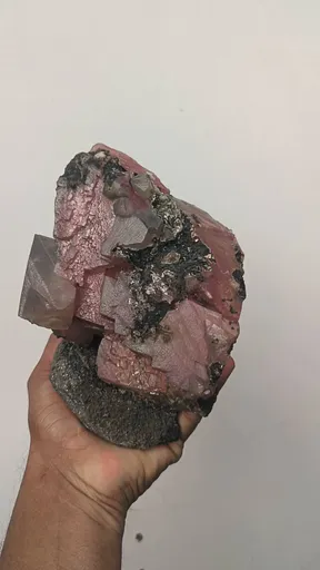 specimen video