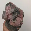specimen video