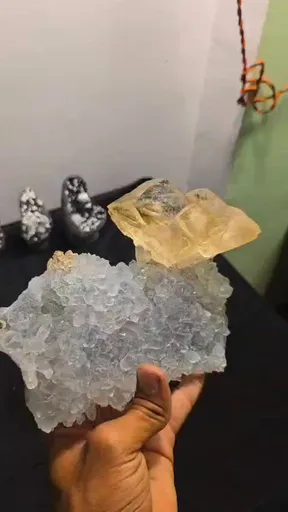 specimen video
