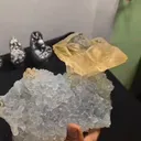 specimen video