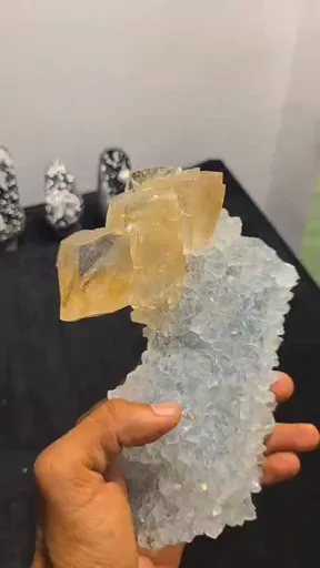 specimen video