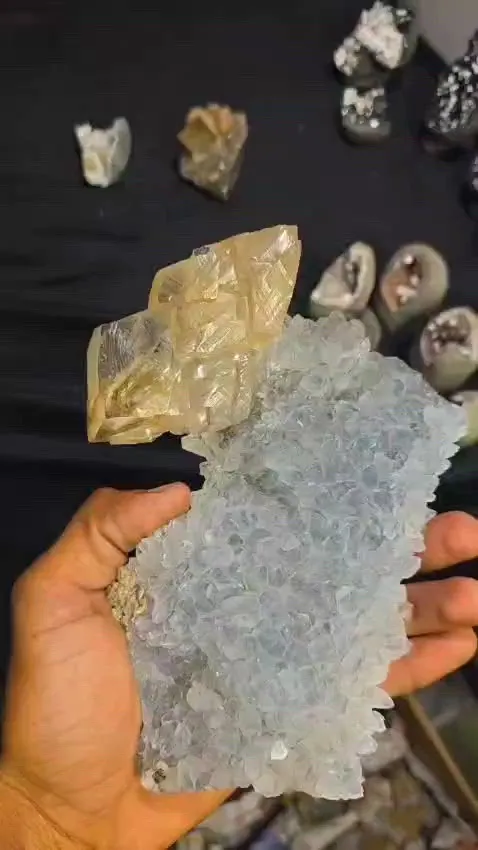 specimen video