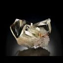 specimen video