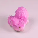 specimen video