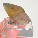 specimen video