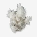 Calcite from Mexico, Chihuahua, Buena Tierra Mine - image 2