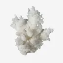 Calcite from Mexico, Chihuahua, Buena Tierra Mine - image 1