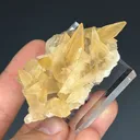 Calcite from Minerva No. 1 Mine, Hardin County, Illinois, USA - image 2