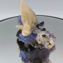 specimen video