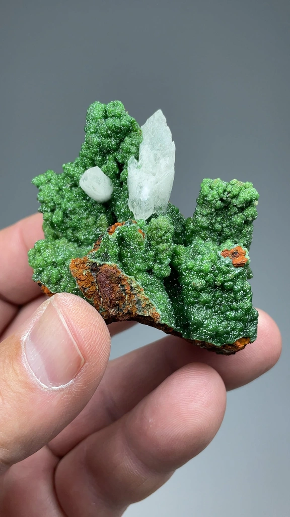Calcite from Ojuela Mine, Mapimí, Durango, Mexico - image 2