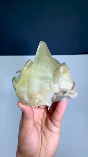 specimen video
