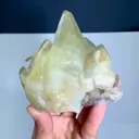 specimen video