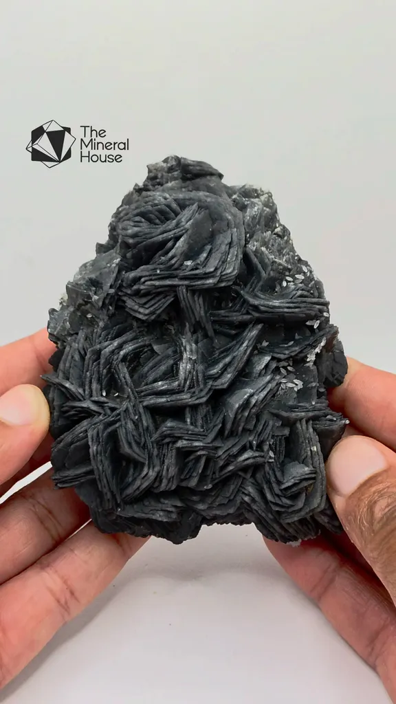 specimen video