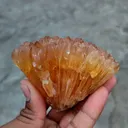 specimen video