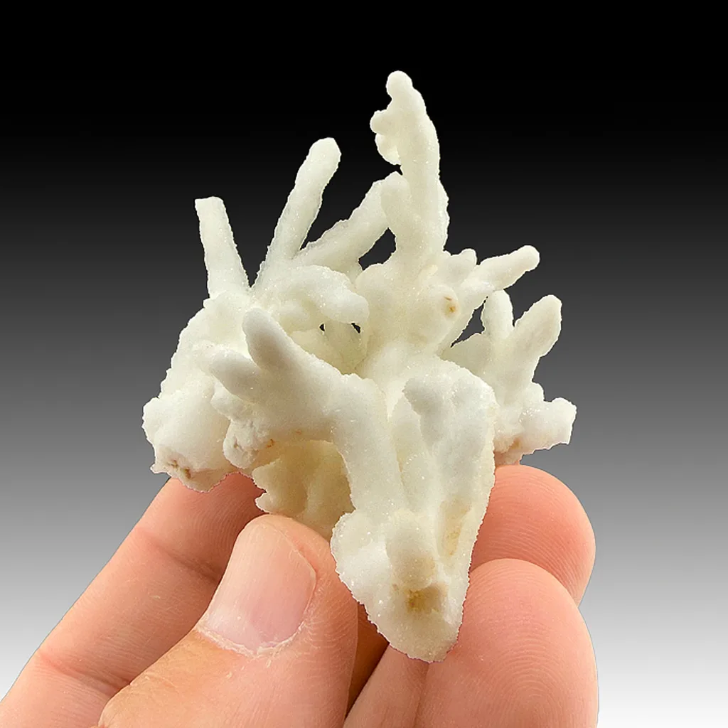Calcite from San Antonio Mine, Santa Eulalia Mining District, Chihuahua, Mexico image