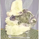 specimen video