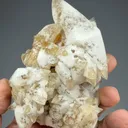 Calcite from Stoneco Maumee Quarry, Ohio, USA - image 2