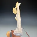 Calcite from Stoneco White Rock Quarry, Clay Center, Ohio, USA - image 2