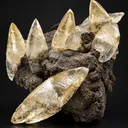 Calcite from Sweetwater Mine, Missouri, USA - image 1