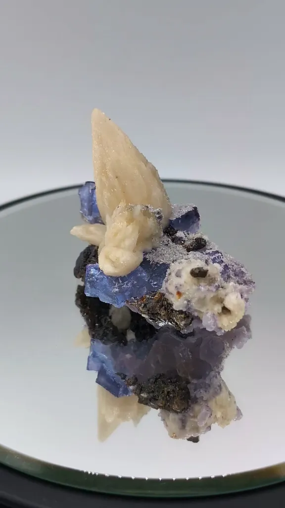 specimen video