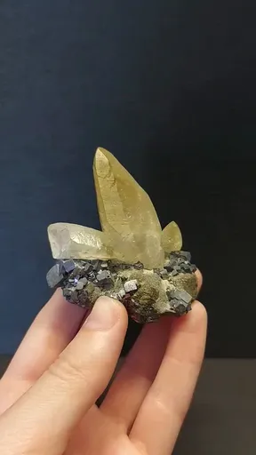specimen video