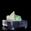 specimen video