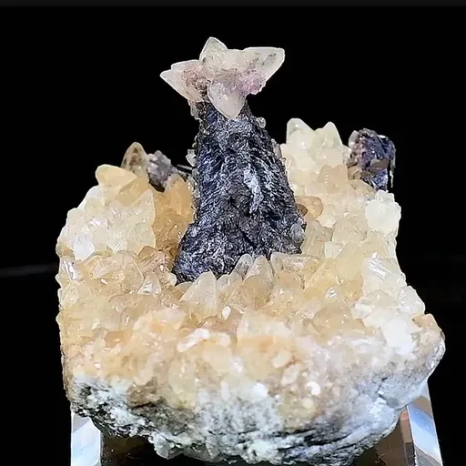specimen video