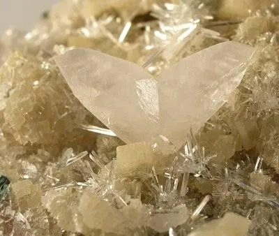 Calcite, Gypsum (Var: Selenite) - image 2