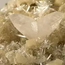 Calcite, Gypsum (Var: Selenite) - image 2