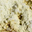 Calcite & Gyrolite Phillipsite 635 grams - Basalt Quarry, Clermont-Ferrand, Puy-de-Dôme, France - image 4