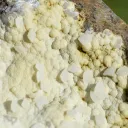 Calcite & Gyrolite Phillipsite 635 grams - Basalt Quarry, Clermont-Ferrand, Puy-de-Dôme, France - image 2