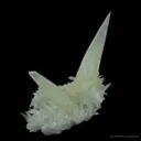 Calcite (Illustrated) - Double Butterfly Twinned - image 3