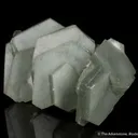 Calcite included by Hedenbergite - image 2
