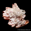 Calcite included by Hematite (classic find) - image 4