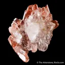 Calcite included by Hematite (classic find) - image 5