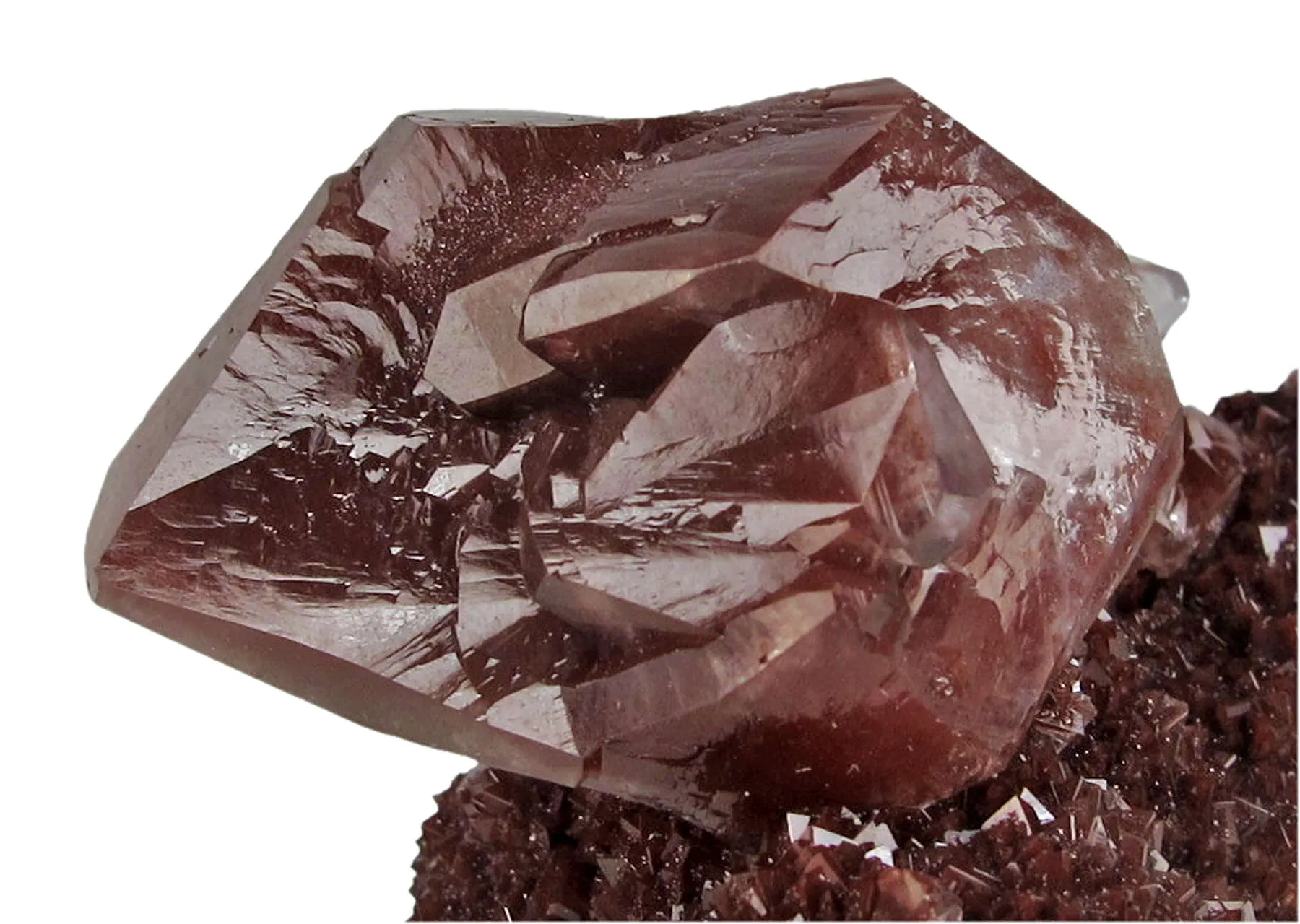 Calcite Included By Hematite (Twinned) - image 4