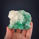 Calcite included by Malachite - image 1